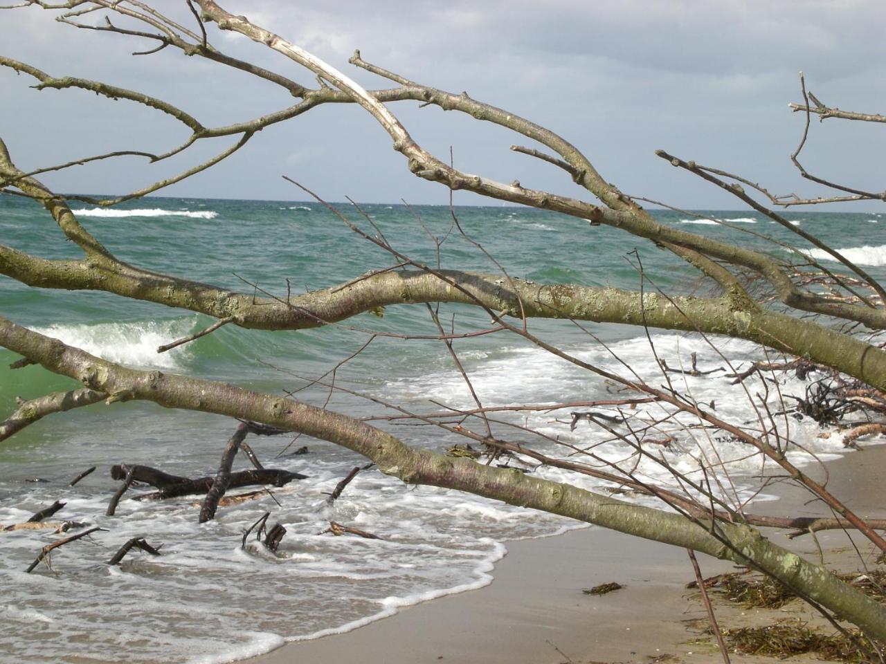 זינקסט Achtern - Diek - Am Strand מראה חיצוני תמונה